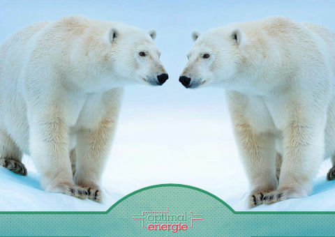 optimalenergie
